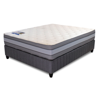 evolution-collection-st-andrews